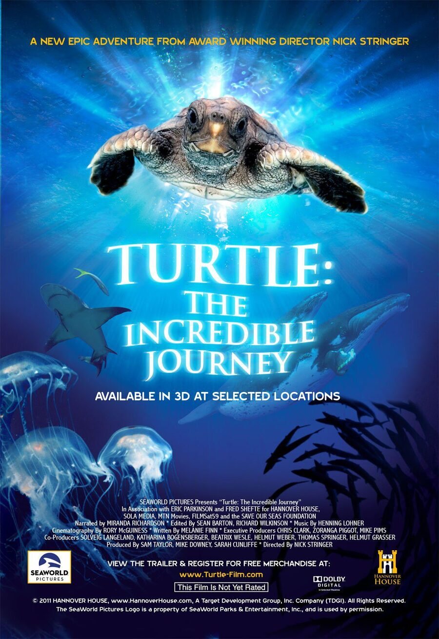 Poster of Turtle: The Incredible Journey - Estados Unidos