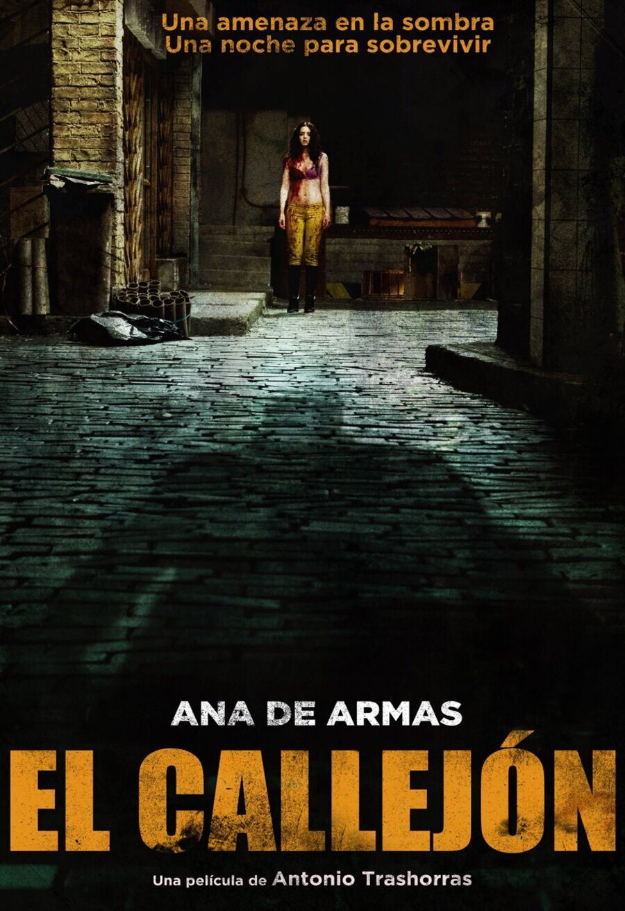 Poster of Blind Alley - España