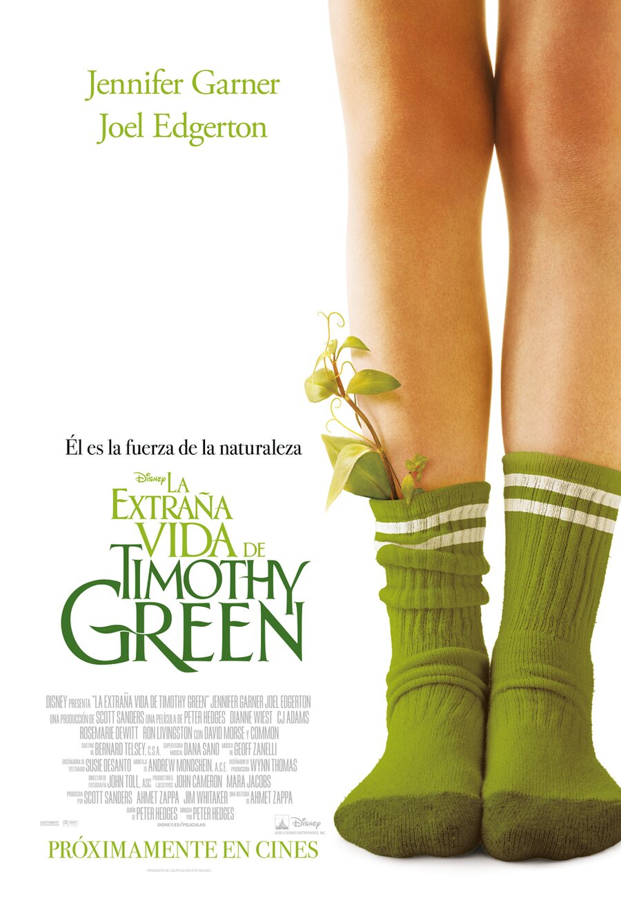 Poster of The odd life of Timothy Green - España