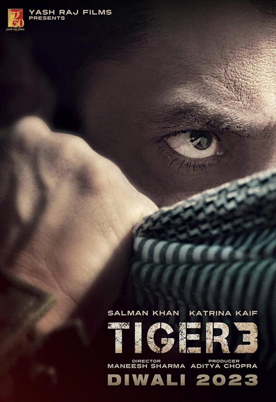 Poster of Tiger 3 - Promo