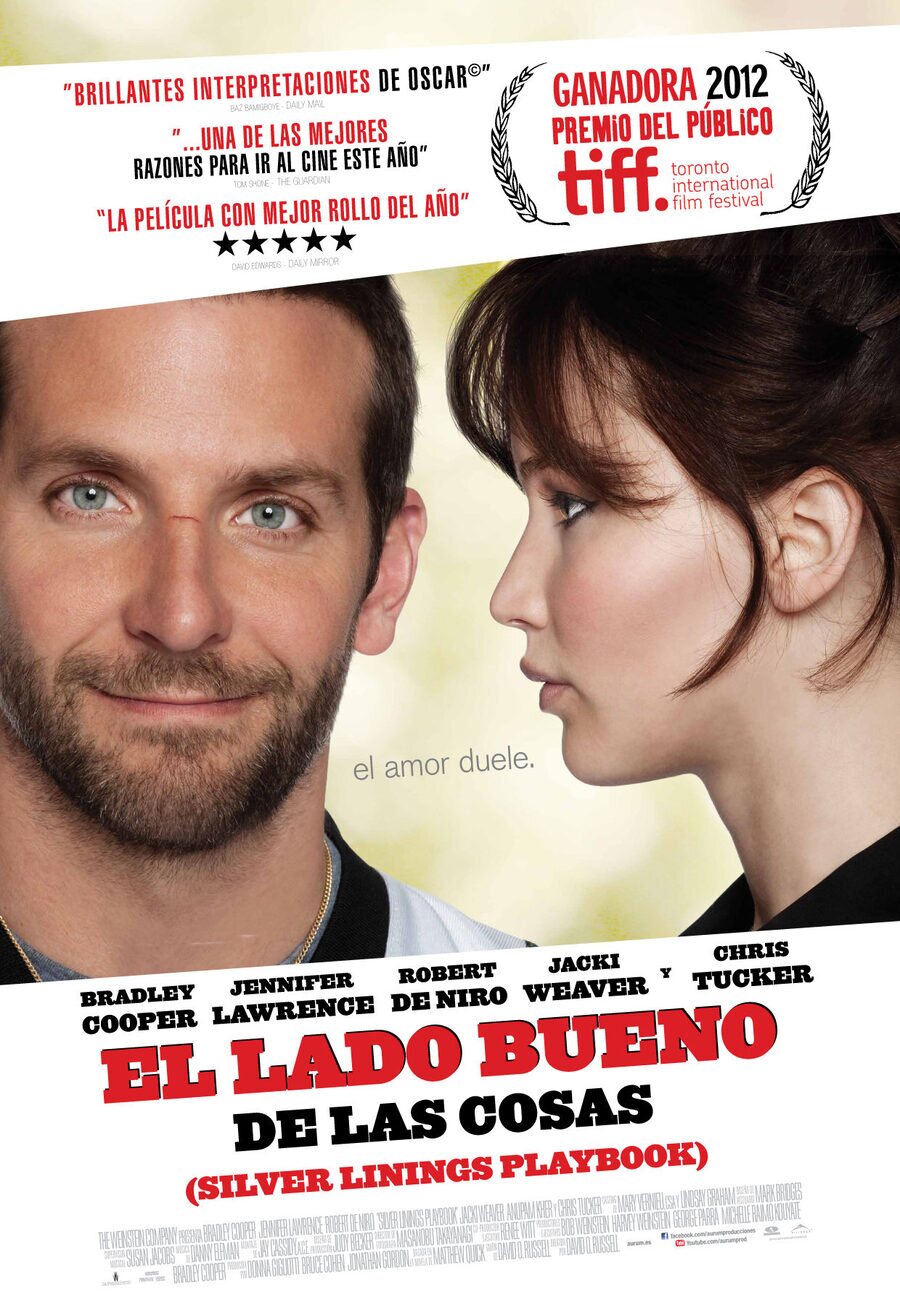 Poster of Silver Linings Playbook - España