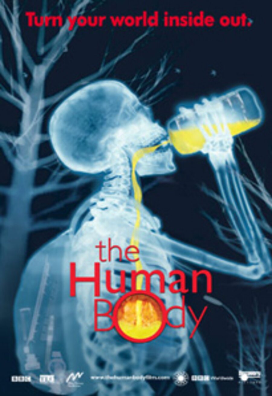 Poster of The Human Body - Estados Unidos