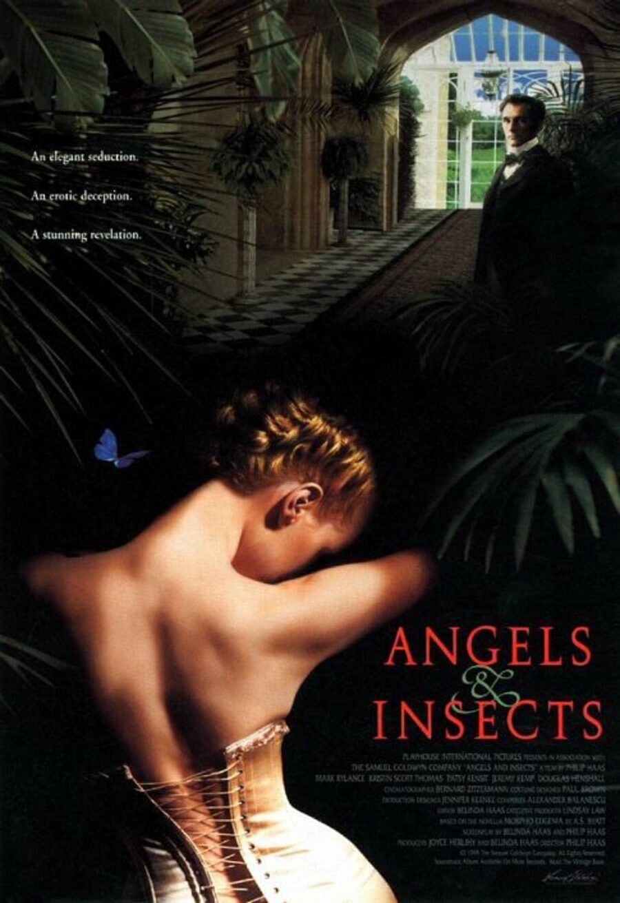 Poster of Angels and Insects - EEUU