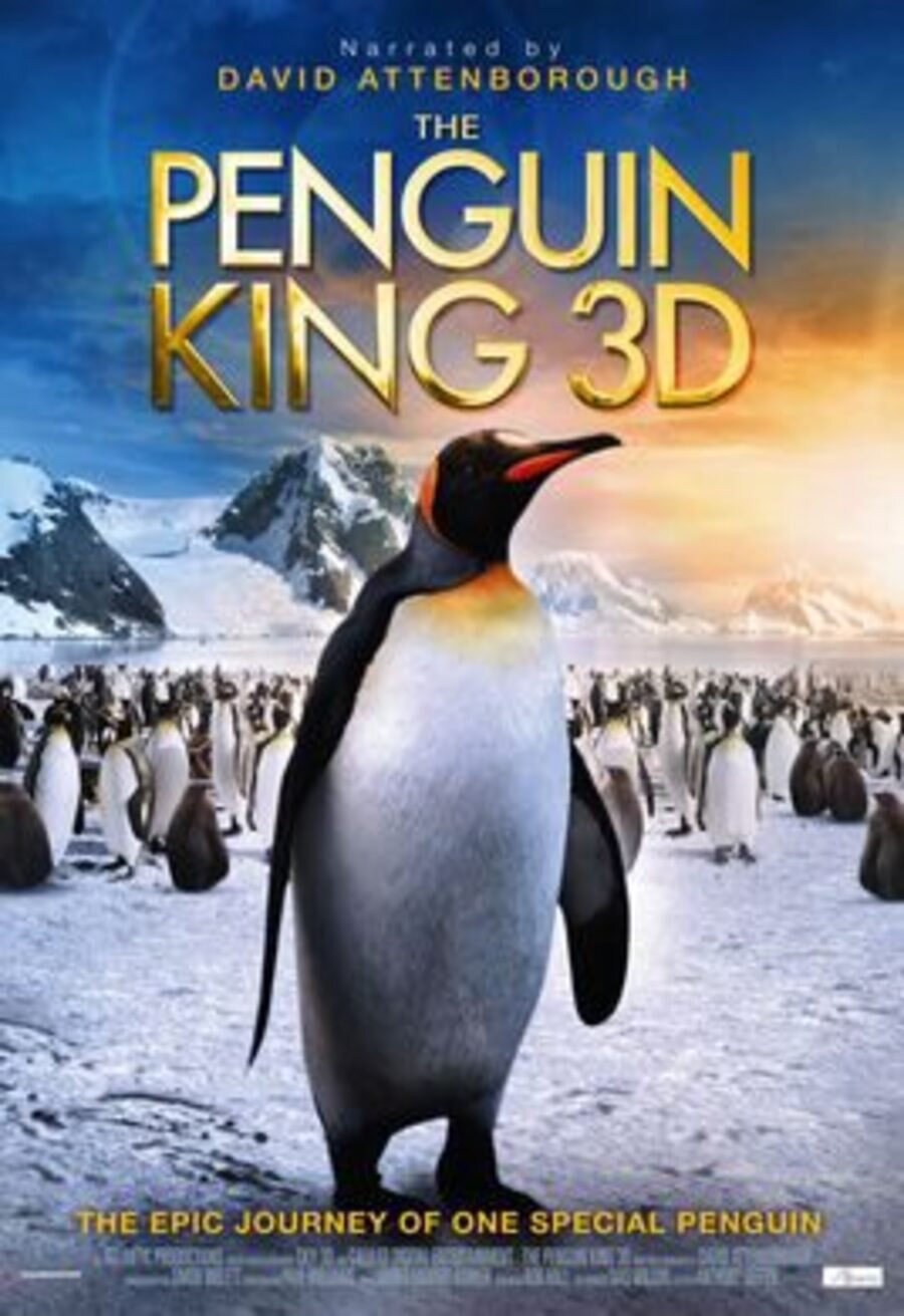 Poster of The Penguin King - Reino Unido