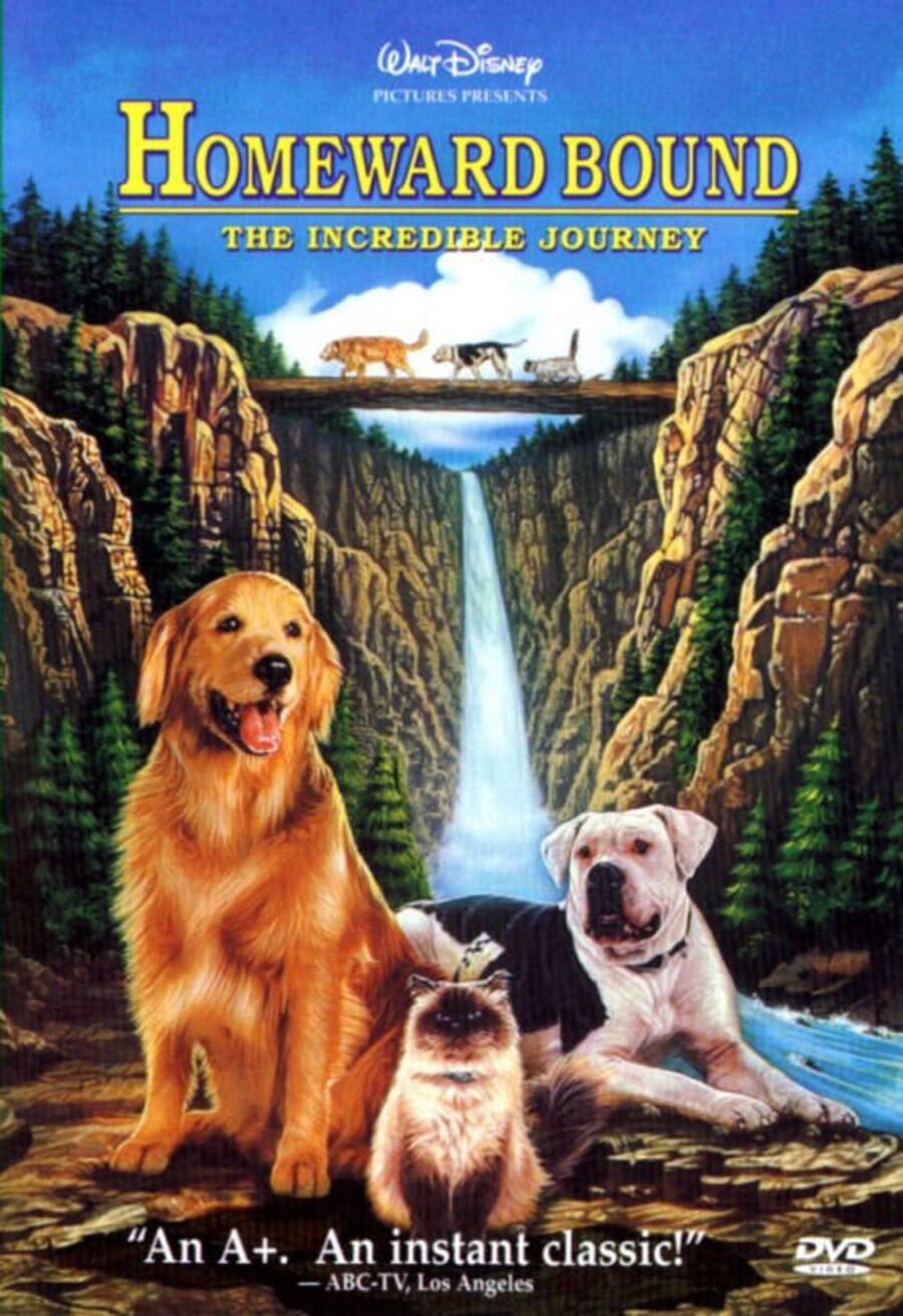 Poster of Homeward Bound: The Incredible Journey - EE.UU