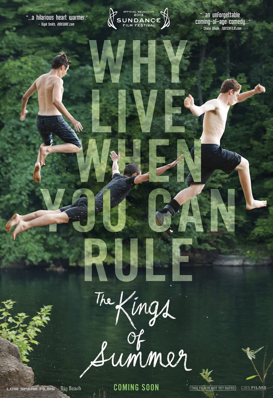 Poster of The Kings of Summer - EEUU