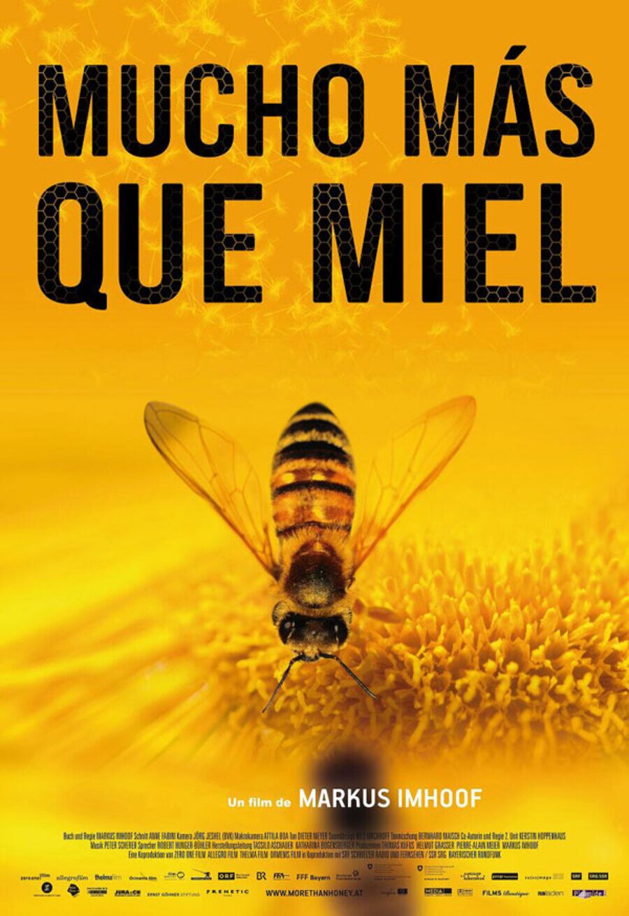 Poster of More Than Honey - España