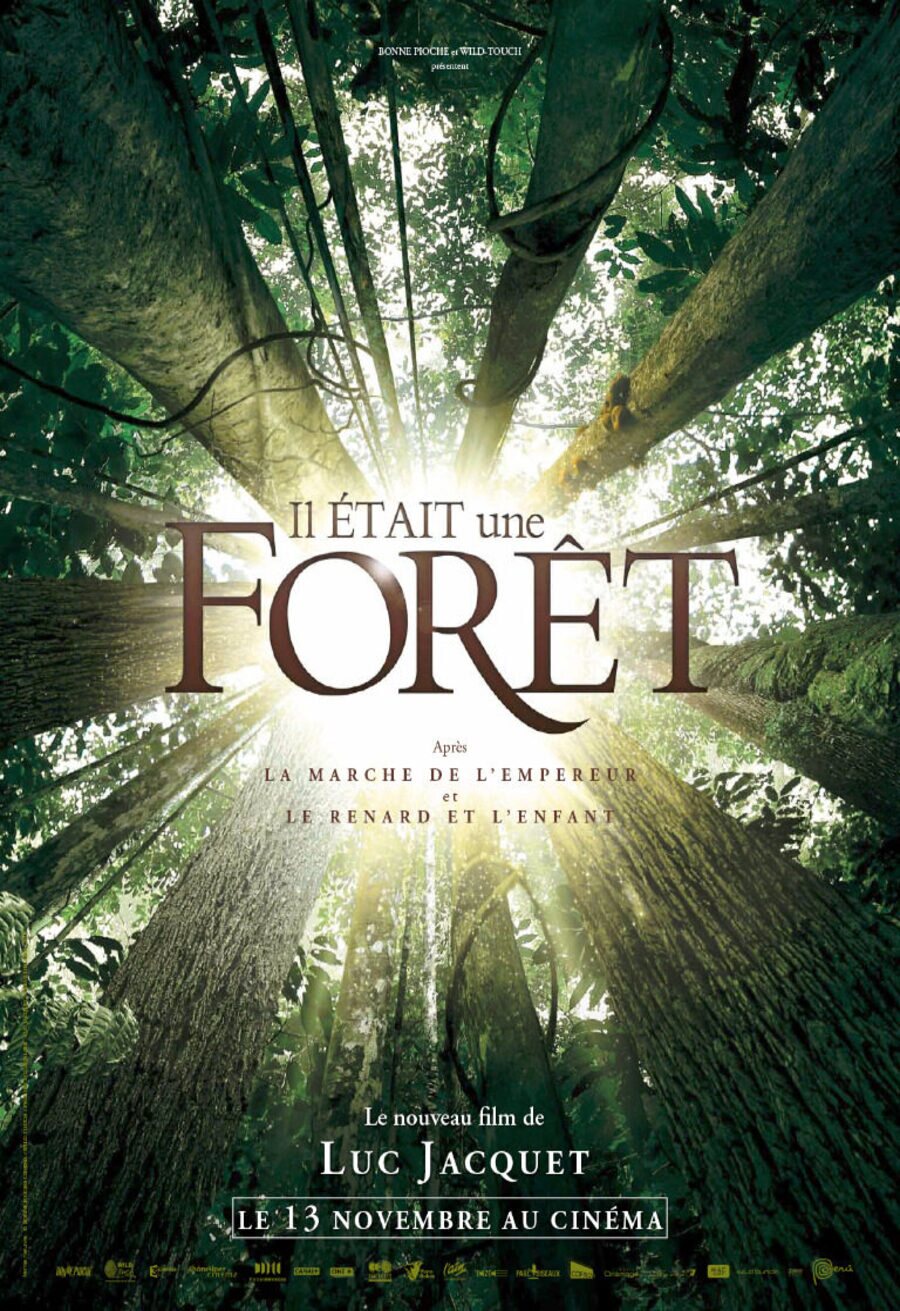 Poster of Once Upon A Forest - Francia