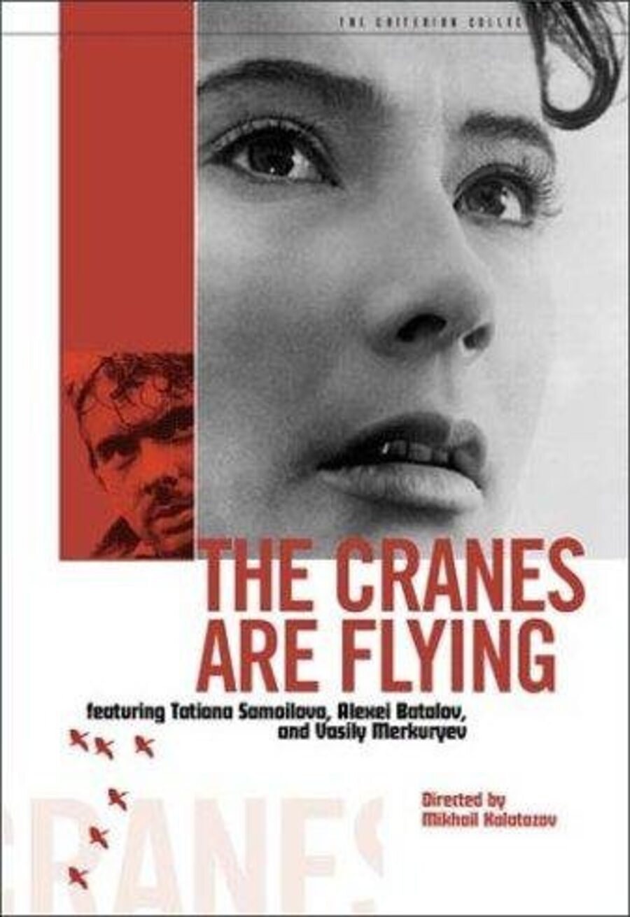 Poster of The Cranes are Flying - Estados Unidos