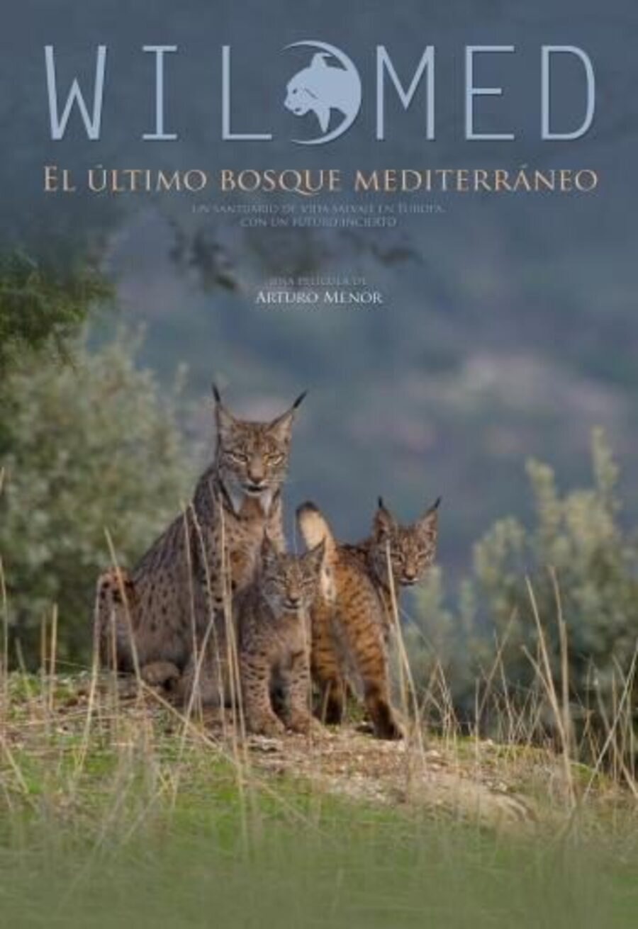 Poster of Wilmed, el último bosque mediterráneo - España