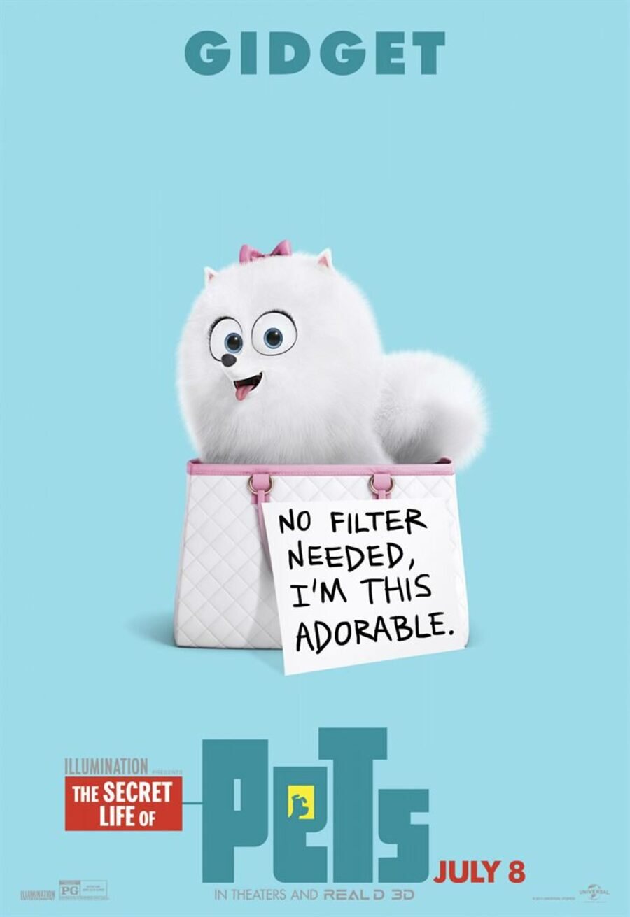 Poster of The Secret Life of Pets - Gidget