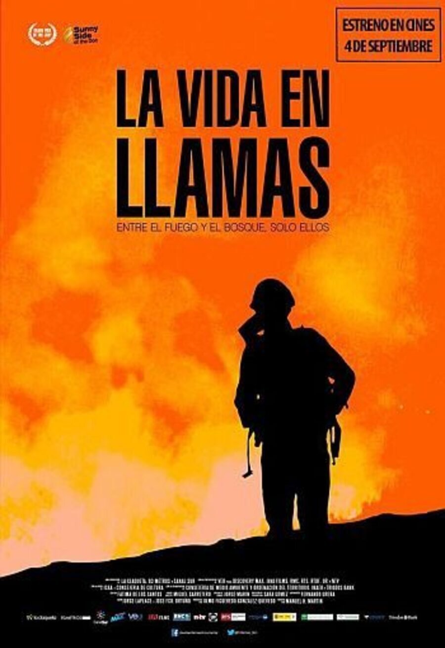 Poster of Life in Flames - La vida en llamas