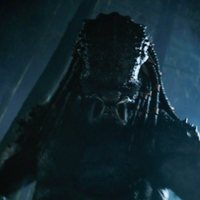 Foto de 'The Predator'