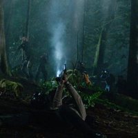 Foto de 'The Predator'