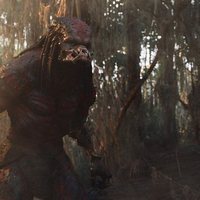 Foto de 'The Predator'