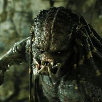 Foto de 'The Predator'