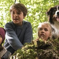 Foto de 'The Famous Five and the Valley of Dinosaurs'