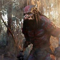 Foto de 'The Predator'