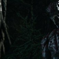 Foto de 'The Predator'