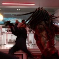 Foto de 'The Predator'