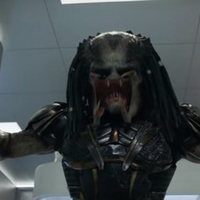 Foto de 'The Predator'