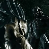 Foto de 'The Predator'