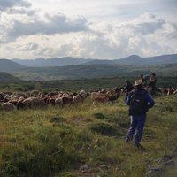 Barbacana, la huella del lobo