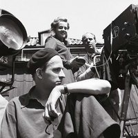 Bergman, a year in a life