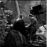 Bergman, a year in a life