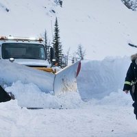 Foto de 'Cold Pursuit'