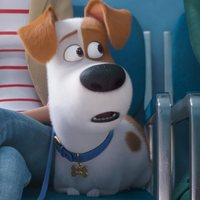 Foto de 'The Secret Life of Pets 2'