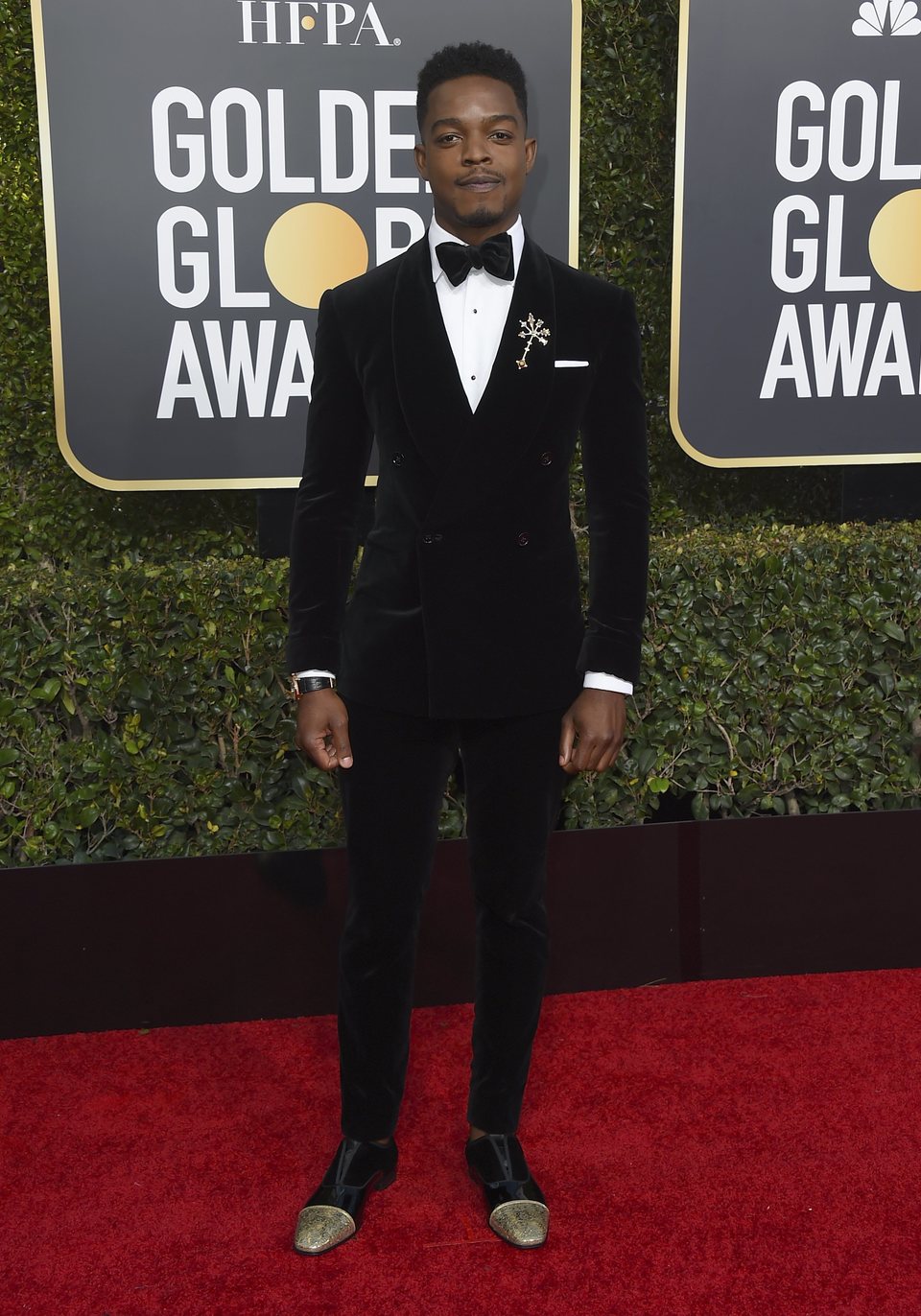 Stephan James at the Golden Globes 2019 red carpet