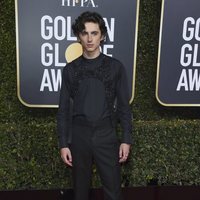 Timothée Chalamet at the Golden Globes 2019 red carpet