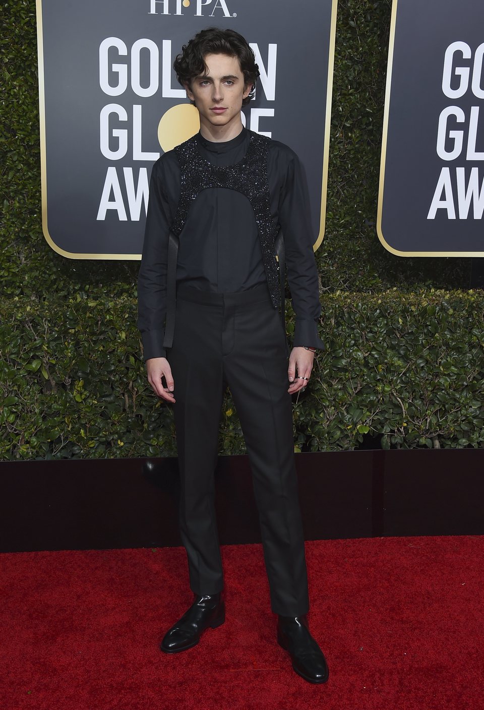 Timothée Chalamet at the Golden Globes 2019 red carpet