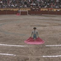 A Philosopher In The Arena