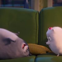 Foto de 'The Secret Life of Pets 2'