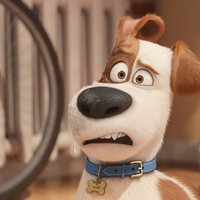 Foto de 'The Secret Life of Pets 2'