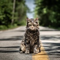 Pet Sematary