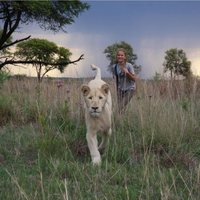 Mia and the White Lion