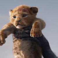 Foto de 'The Lion King'