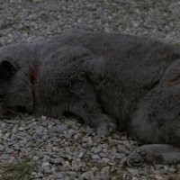 Foto de 'Pet Sematary'