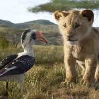 Foto de 'The Lion King'