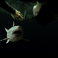 Foto de '47 Meters Down: Uncaged'