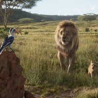 Foto de 'The Lion King'