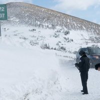 Foto de 'Cold Pursuit'