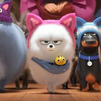 Foto de 'The Secret Life of Pets 2'