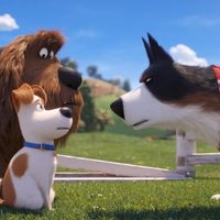 The Secret Life of Pets 2