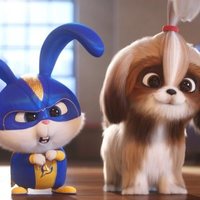 The Secret Life of Pets 2