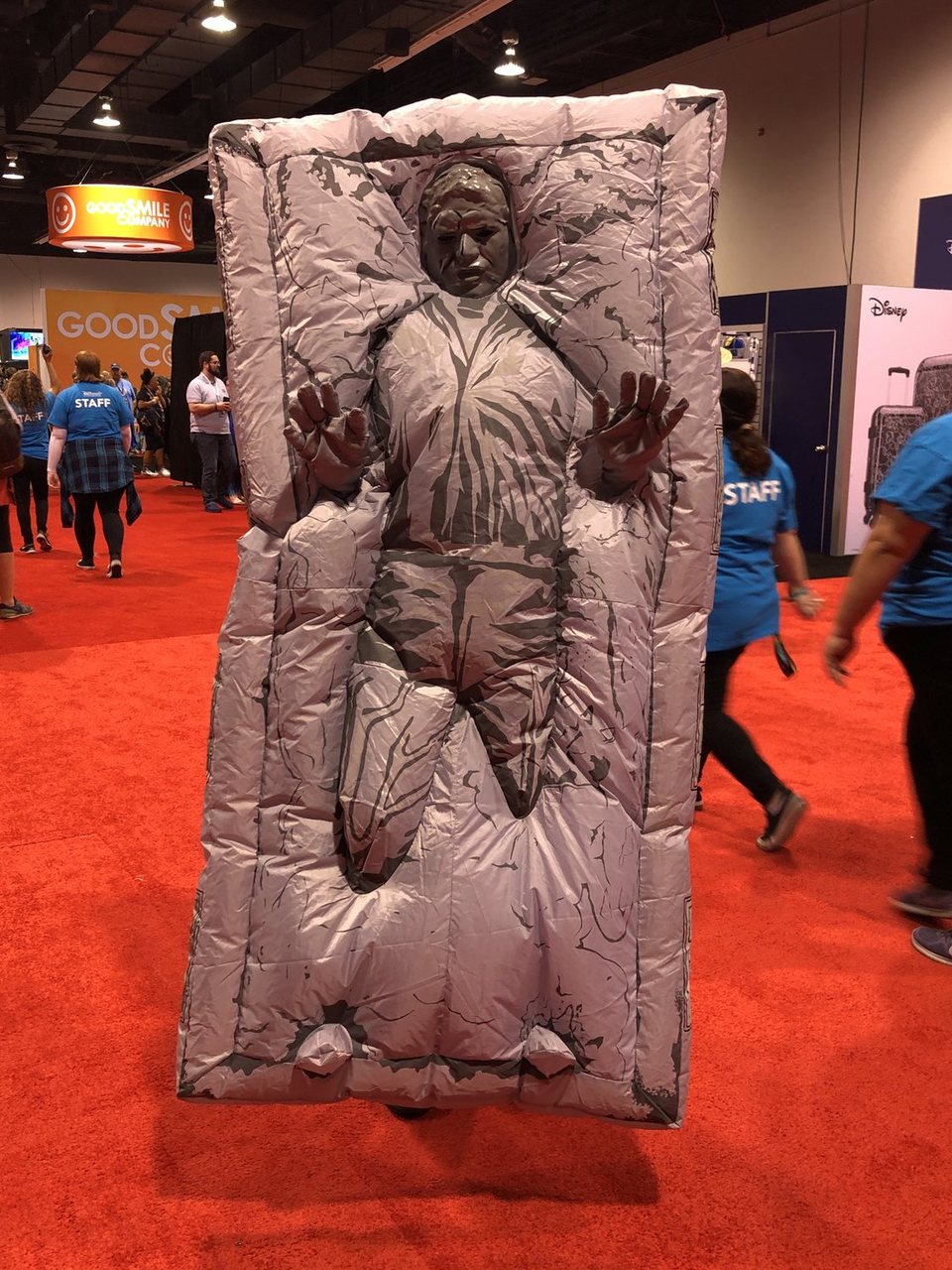 Fan desses up Han Solo in carbonite 