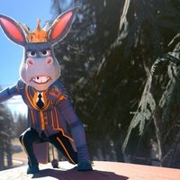 The Donkey King